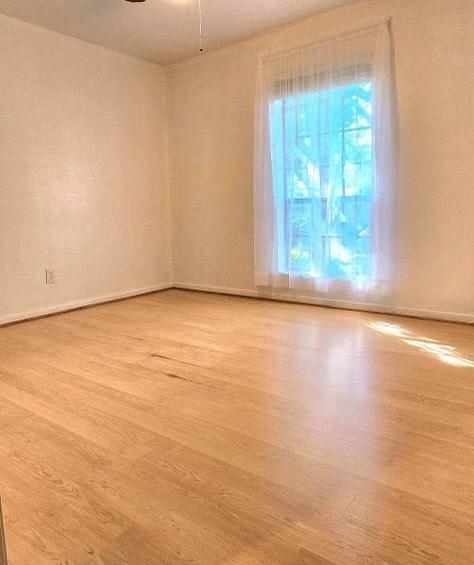1706 Shawnee St, Navasota, TX 77868 - spare room with wood finished floors, ceiling fan, and baseboards