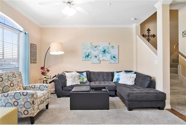 living room featuring ceiling fan and ornamental molding