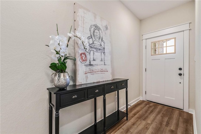 entrance foyer featuring dark hardwood / wood-style flooring