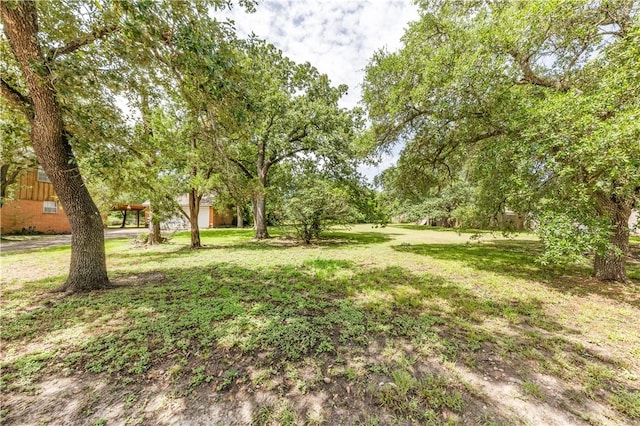 1502 Glade St, College Station, TX 77840 - view of green lawn