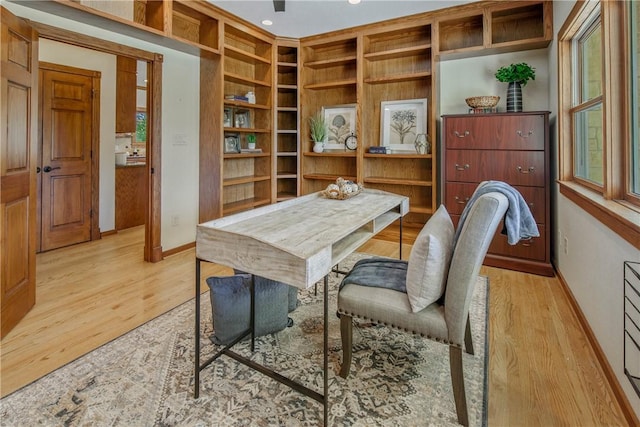 dining room with light hardwood / wood-style floors