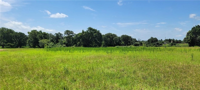 0001 Lone Star Ln, Franklin, TX 77856 - photo 9