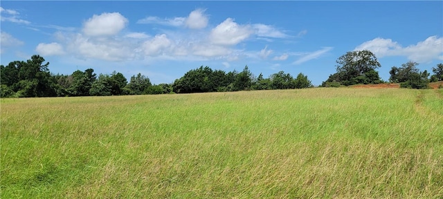 0001 Lone Star Ln, Franklin, TX 77856 - photo 10