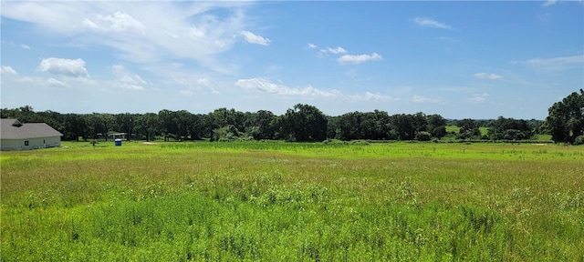 0001 Lone Star Ln, Franklin, TX 77856 - photo 8