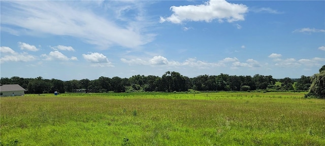 0001 Lone Star Ln, Franklin, TX 77856 - photo 11
