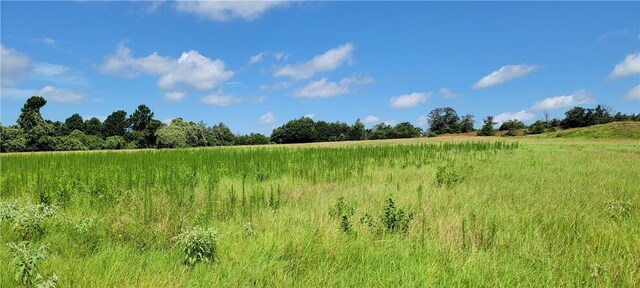 0001 Lone Star Ln, Franklin, TX 77856 - photo 1