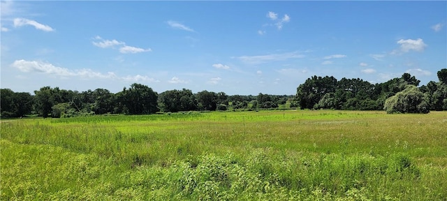 0001 Lone Star Ln, Franklin, TX 77856 - photo 7
