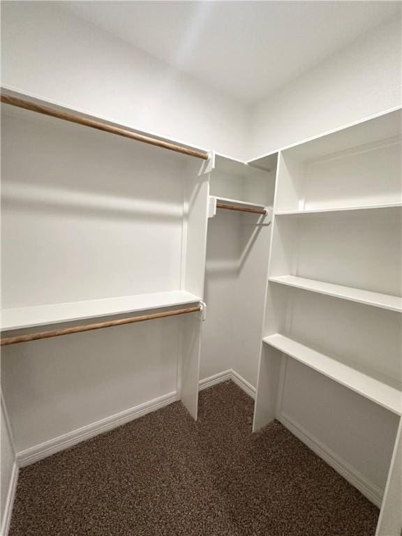 114 Hayes Church Rd, Franklin, TX 77856 - walk in closet with dark carpet
