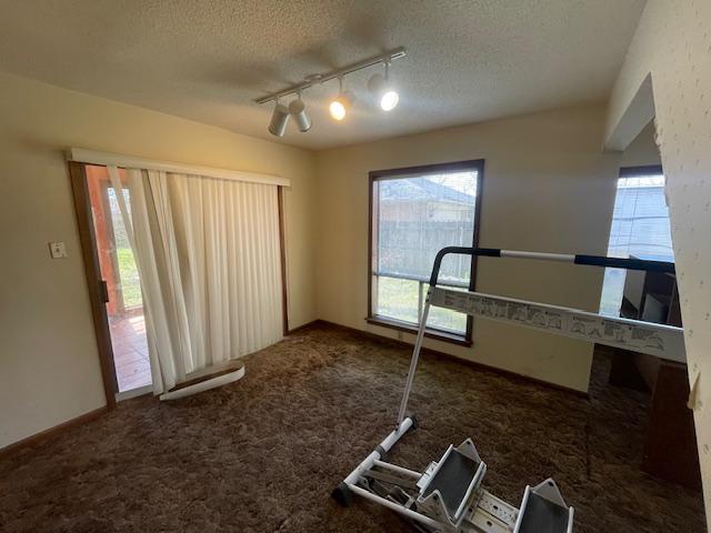 exercise area featuring baseboards, carpet, rail lighting, and a textured ceiling