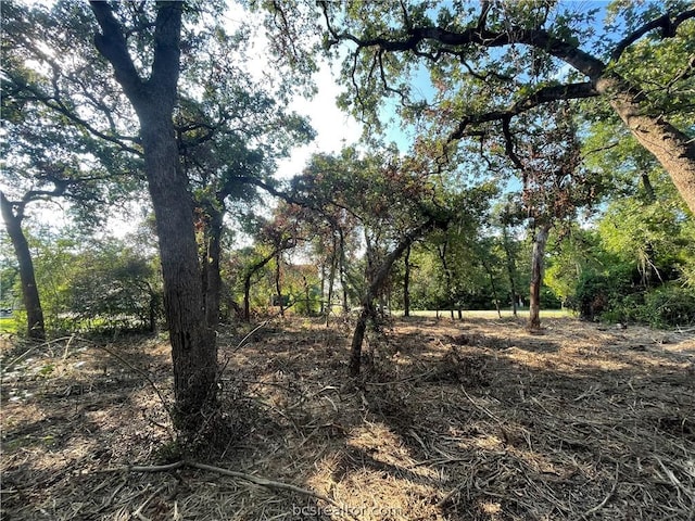 Listing photo 3 for TBD Piper Ln, Hilltop Lakes TX 77871