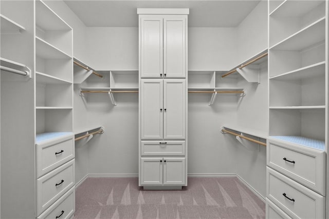 5104 Stonewater Loop, College Station, TX 77845 - spacious closet featuring carpet flooring