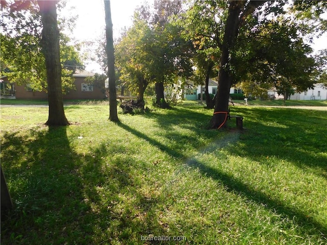 1117 Sycamore St, Navasota, TX 77868 - view of green lawn