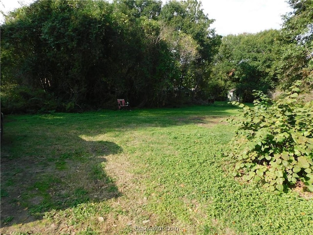 1117 Sycamore St, Navasota, TX 77868 - view of green lawn