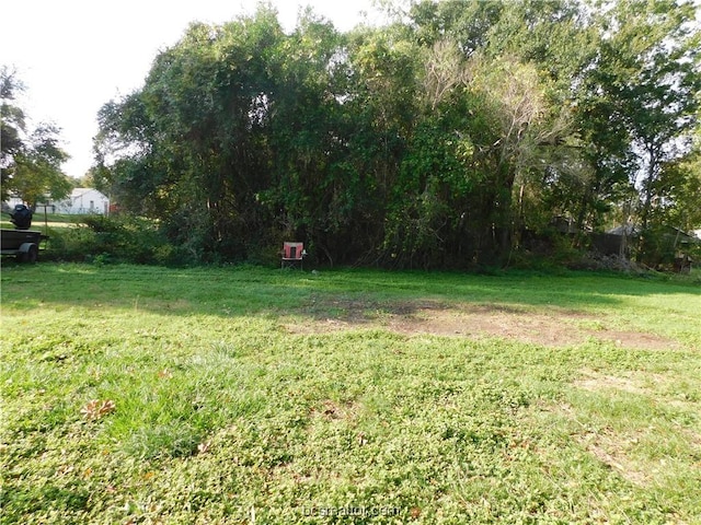 1117 Sycamore St, Navasota, TX 77868 - view of green lawn