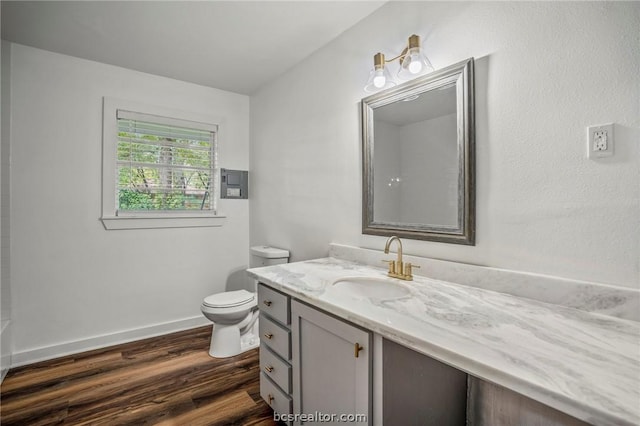 bathroom with vanity, toilet, and wood-type flooring