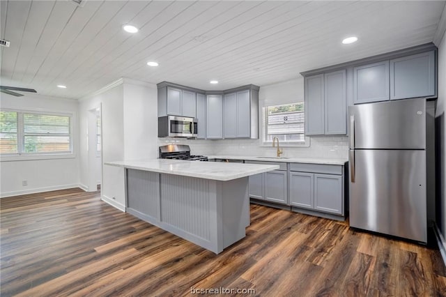 kitchen featuring plenty of natural light, dark hardwood / wood-style flooring, sink, and appliances with stainless steel finishes