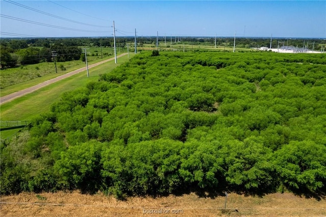 Listing photo 2 for TBD Luza Lane, Bryan TX 77807