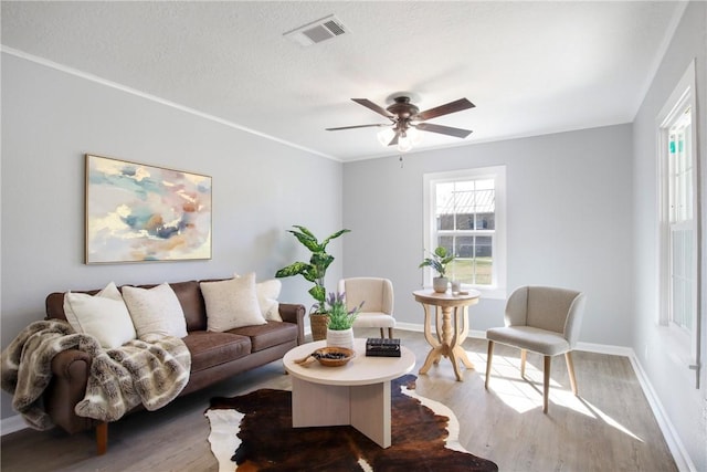 407 N Amthor St, Bellville, TX 77418 - living room featuring hardwood / wood-style flooring, ornamental molding, a textured ceiling, and ceiling fan