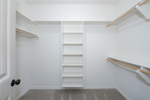 spacious closet featuring carpet floors