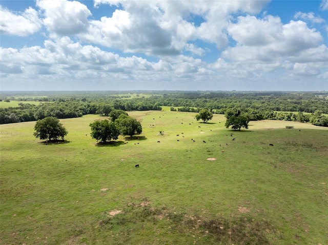 6550 Gibbs Creek Rd, Chappell Hill, TX 77426