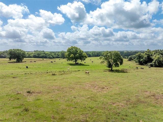 6550 Gibbs Creek Rd, Chappell Hill, TX 77426