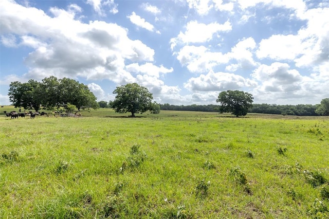 6550 Gibbs Creek Rd, Chappell Hill, TX 77426