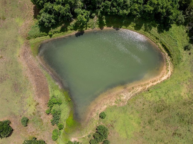 6550 Gibbs Creek Rd, Chappell Hill, TX 77426