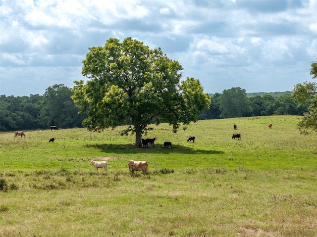 6550 Gibbs Creek Rd, Chappell Hill, TX 77426