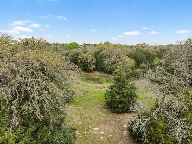 TRACT6ACREAGEESTATES Pauline Ln, Caldwell, TX 77836 - photo 14