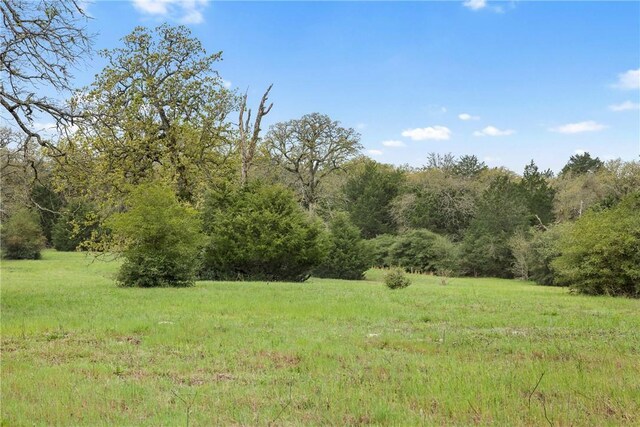 TRACT6ACREAGEESTATES Pauline Ln, Caldwell, TX 77836 - photo 5