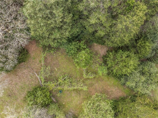 TRACT6ACREAGEESTATES Pauline Ln, Caldwell, TX 77836 - photo 20
