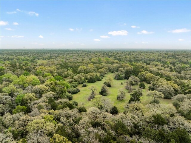 TRACT6ACREAGEESTATES Pauline Ln, Caldwell, TX 77836 - photo 23