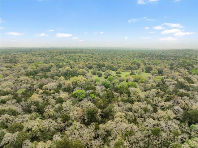 TRACT6ACREAGEESTATES Pauline Ln, Caldwell, TX 77836 - photo 17
