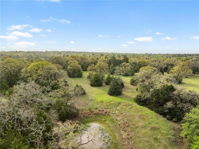 TRACT6ACREAGEESTATES Pauline Ln, Caldwell, TX 77836 - photo 13
