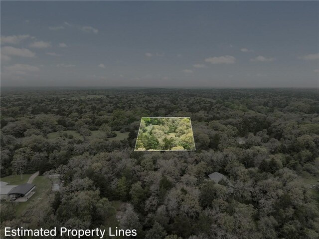 TRACT6ACREAGEESTATES Pauline Ln, Caldwell, TX 77836 - photo 25