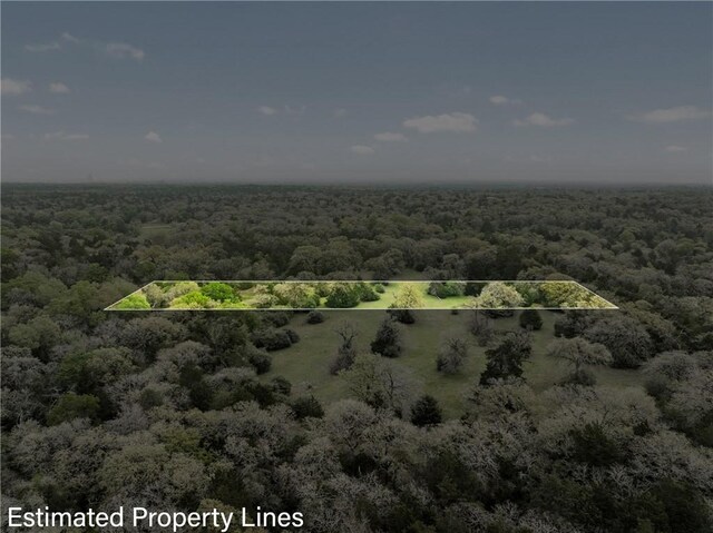 TRACT6ACREAGEESTATES Pauline Ln, Caldwell, TX 77836 - photo 27