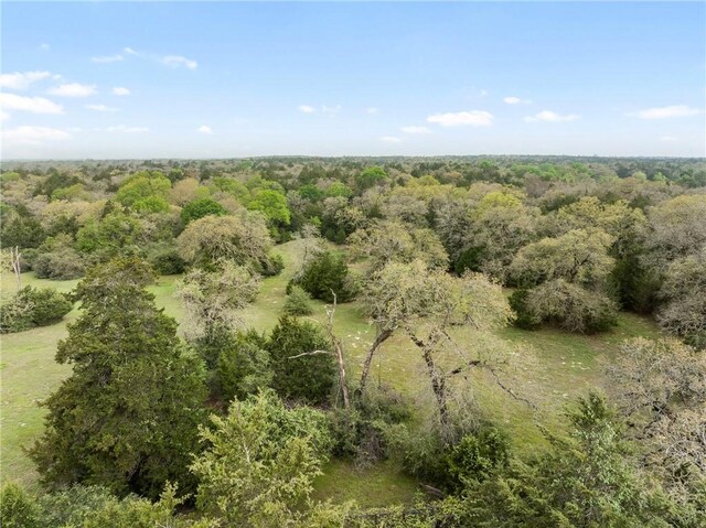 TRACT6ACREAGEESTATES Pauline Ln, Caldwell, TX 77836 - photo 21
