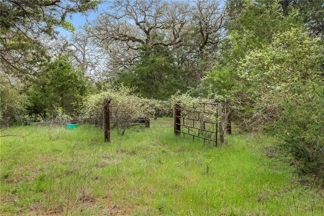 TRACT6ACREAGEESTATES Pauline Ln, Caldwell, TX 77836 - photo 2