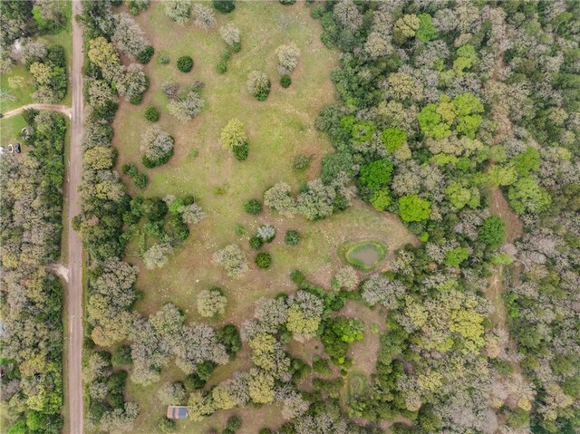 TRACT6ACREAGEESTATES Pauline Ln, Caldwell, TX 77836 - photo 16