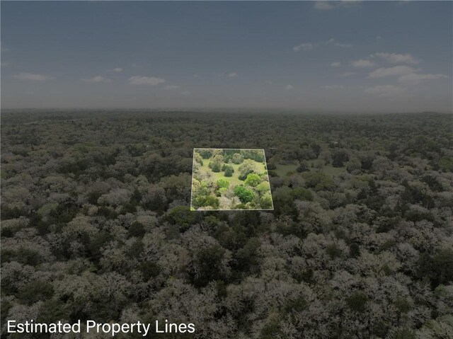 TRACT6ACREAGEESTATES Pauline Ln, Caldwell, TX 77836 - photo 24