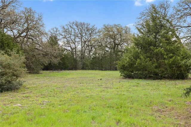 TRACT6ACREAGEESTATES Pauline Ln, Caldwell, TX 77836 - photo 8
