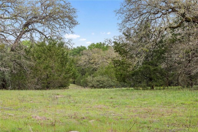TRACT6ACREAGEESTATES Pauline Ln, Caldwell, TX 77836 - photo 11