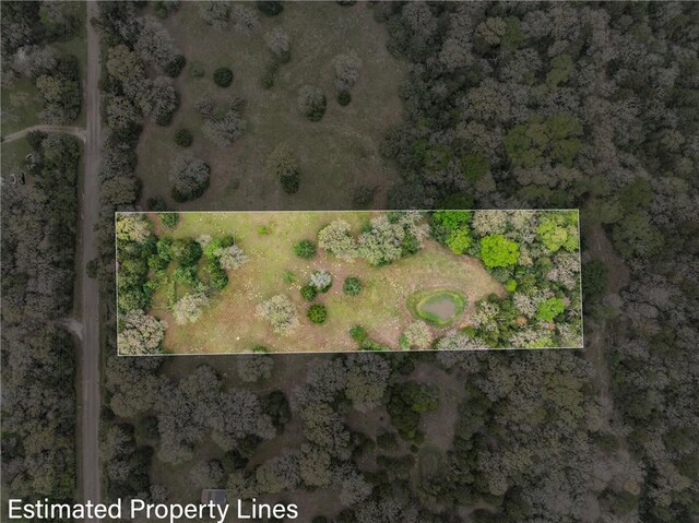 TRACT6ACREAGEESTATES Pauline Ln, Caldwell, TX 77836 - photo 12