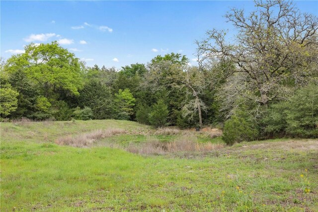 TRACT6ACREAGEESTATES Pauline Ln, Caldwell, TX 77836 - photo 6