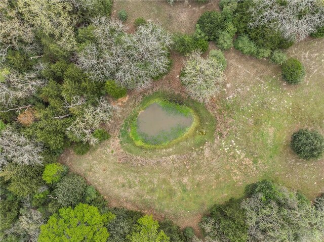 TRACT6ACREAGEESTATES Pauline Ln, Caldwell, TX 77836 - photo 15