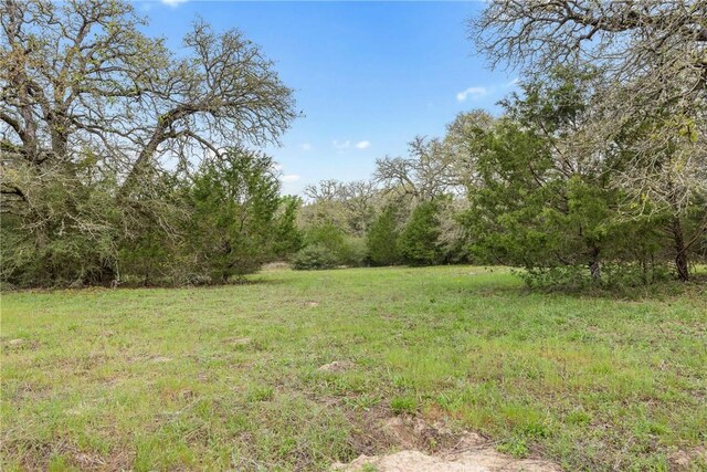 TRACT6ACREAGEESTATES Pauline Ln, Caldwell, TX 77836 - photo 4