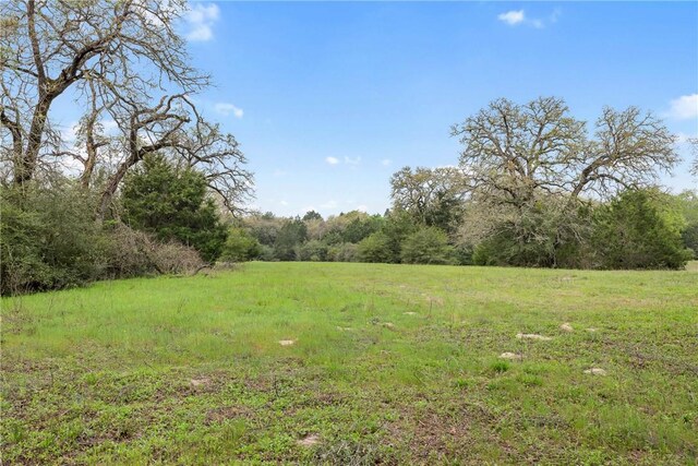 TRACT6ACREAGEESTATES Pauline Ln, Caldwell, TX 77836 - photo 10
