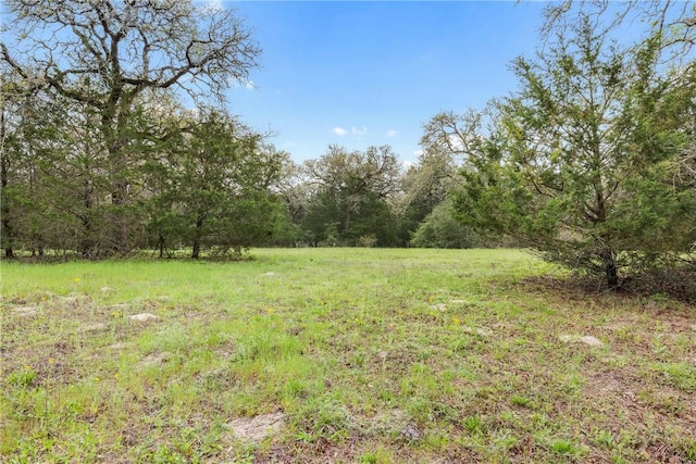 TRACT6ACREAGEESTATES Pauline Ln, Caldwell, TX 77836 - photo 1