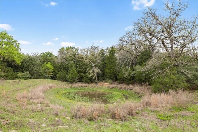 TRACT6ACREAGEESTATES Pauline Ln, Caldwell, TX 77836 - photo 7
