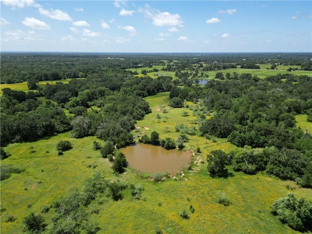 10271 Fm 111, Caldwell, TX 77836 - photo 6